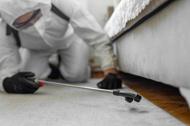 Professional Bed Bug Control technician working in Charlestown, IN