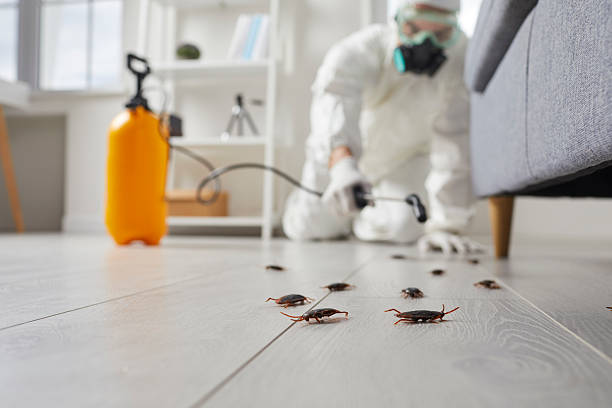 Trusted Emergency Pest Control service in Charlestown, IN - Nex Pest Control