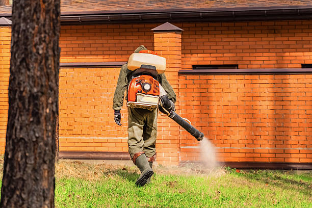 Trusted Ant Control service in Charlestown, IN - Nex Pest Control